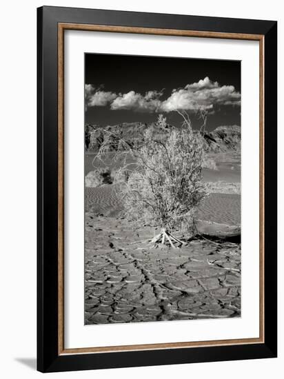 Death Valley Dunes I-George Johnson-Framed Photographic Print