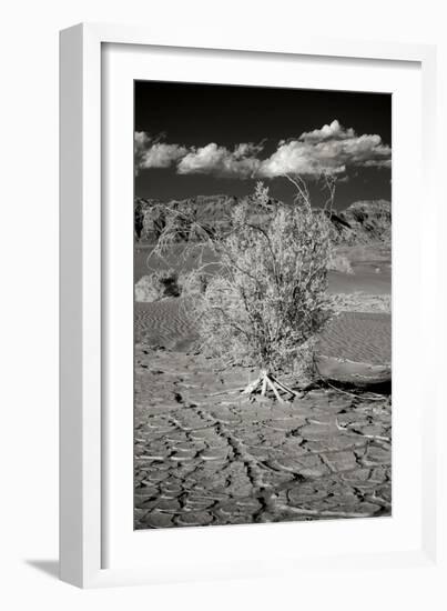 Death Valley Dunes I-George Johnson-Framed Photographic Print