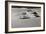 Death Valley Dunes I-George Johnson-Framed Photographic Print