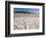 Death Valley in California-Theo Allofs-Framed Photographic Print