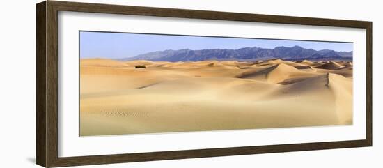 Death Valley. Landscape of Mesquite Flats Sand Dunes.-Janet Muir-Framed Photographic Print