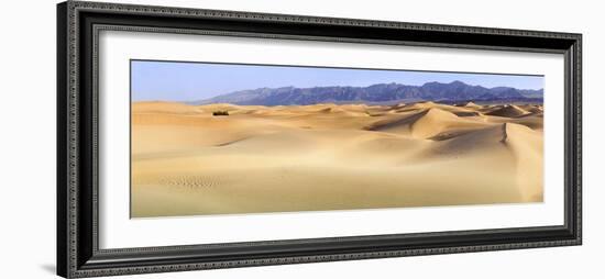 Death Valley. Landscape of Mesquite Flats Sand Dunes.-Janet Muir-Framed Photographic Print