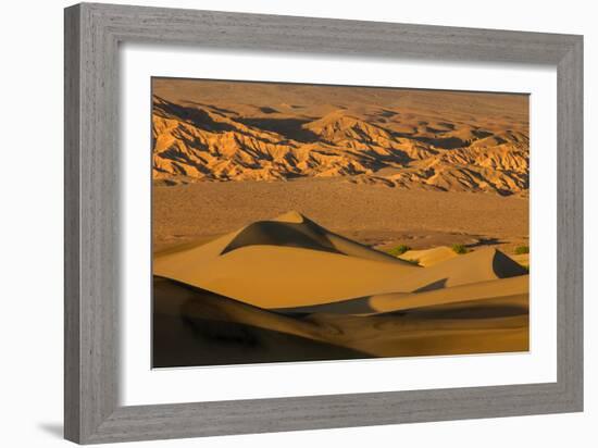Death Valley National Park, California: Mesquite Sand Dunes Near Stovepipe Wells-Ian Shive-Framed Photographic Print