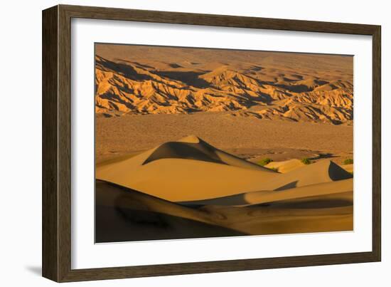 Death Valley National Park, California: Mesquite Sand Dunes Near Stovepipe Wells-Ian Shive-Framed Photographic Print