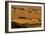 Death Valley National Park, California: Mesquite Sand Dunes Near Stovepipe Wells-Ian Shive-Framed Photographic Print