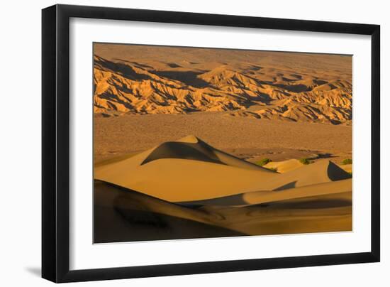 Death Valley National Park, California: Mesquite Sand Dunes Near Stovepipe Wells-Ian Shive-Framed Photographic Print