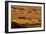 Death Valley National Park, California: Mesquite Sand Dunes Near Stovepipe Wells-Ian Shive-Framed Photographic Print