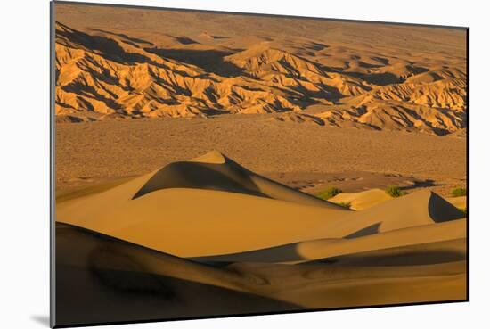 Death Valley National Park, California: Mesquite Sand Dunes Near Stovepipe Wells-Ian Shive-Mounted Photographic Print