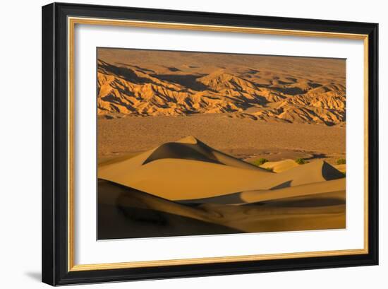 Death Valley National Park, California: Mesquite Sand Dunes Near Stovepipe Wells-Ian Shive-Framed Photographic Print