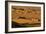 Death Valley National Park, California: Mesquite Sand Dunes Near Stovepipe Wells-Ian Shive-Framed Photographic Print