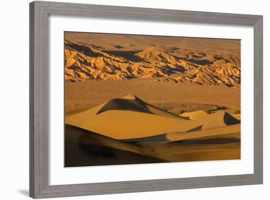 Death Valley National Park, California: Mesquite Sand Dunes Near Stovepipe Wells-Ian Shive-Framed Photographic Print