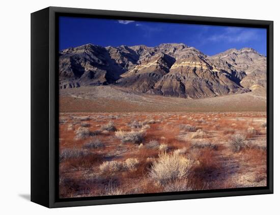 Death Valley National Park, California, USA-Gavriel Jecan-Framed Premier Image Canvas