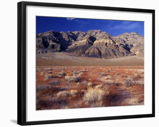 Death Valley National Park, California, USA-Gavriel Jecan-Framed Photographic Print