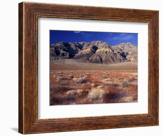 Death Valley National Park, California, USA-Gavriel Jecan-Framed Photographic Print