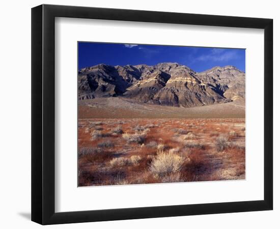 Death Valley National Park, California, USA-Gavriel Jecan-Framed Photographic Print