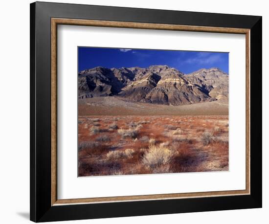 Death Valley National Park, California, USA-Gavriel Jecan-Framed Photographic Print