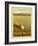 Death Valley National Park, California-Anderson Design Group-Framed Art Print