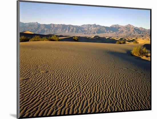 Death Valley National Park-James Randklev-Mounted Photographic Print