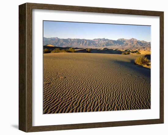 Death Valley National Park-James Randklev-Framed Photographic Print