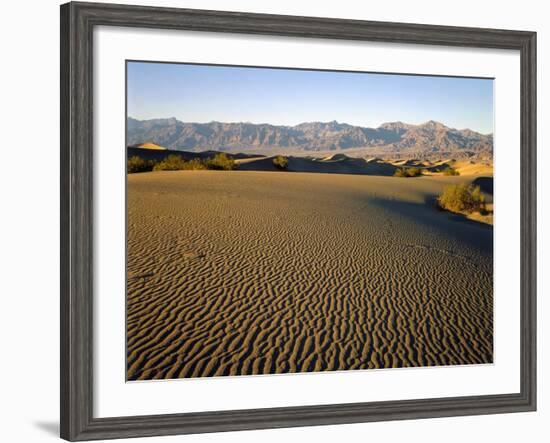 Death Valley National Park-James Randklev-Framed Photographic Print