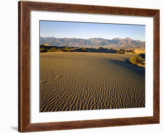 Death Valley National Park-James Randklev-Framed Photographic Print