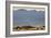 Death Valley NP, CA: Mequite Sand Dunes Near Stovepipe Wells People In Distance Hiking 100 Ft Dunes-Ian Shive-Framed Photographic Print