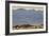 Death Valley NP, CA: Mequite Sand Dunes Near Stovepipe Wells People In Distance Hiking 100 Ft Dunes-Ian Shive-Framed Photographic Print