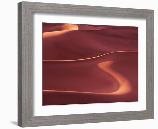 Death Valley Sand Dunes at Dawn, California, USA-Charles Sleicher-Framed Photographic Print