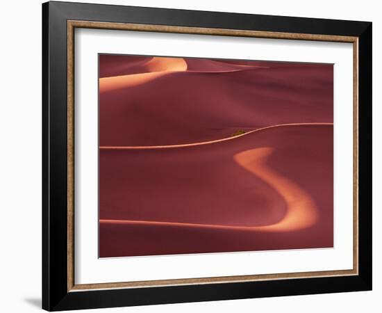 Death Valley Sand Dunes at Dawn, California, USA-Charles Sleicher-Framed Photographic Print