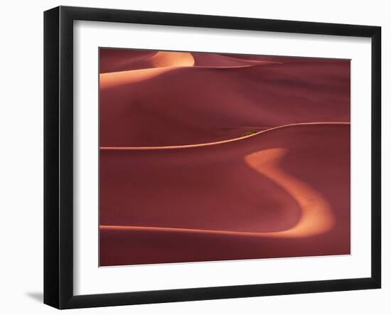 Death Valley Sand Dunes at Dawn, California, USA-Charles Sleicher-Framed Photographic Print