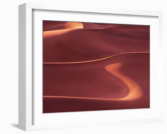 Death Valley Sand Dunes at Dawn, California, USA-Charles Sleicher-Framed Photographic Print