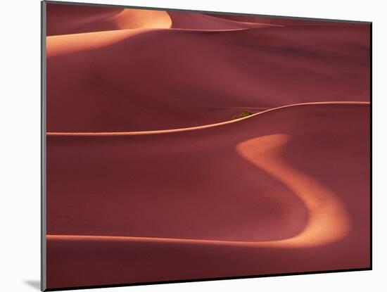 Death Valley Sand Dunes at Dawn, California, USA-Charles Sleicher-Mounted Photographic Print