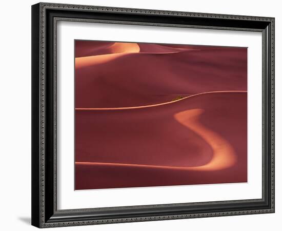 Death Valley Sand Dunes at Dawn, California, USA-Charles Sleicher-Framed Photographic Print