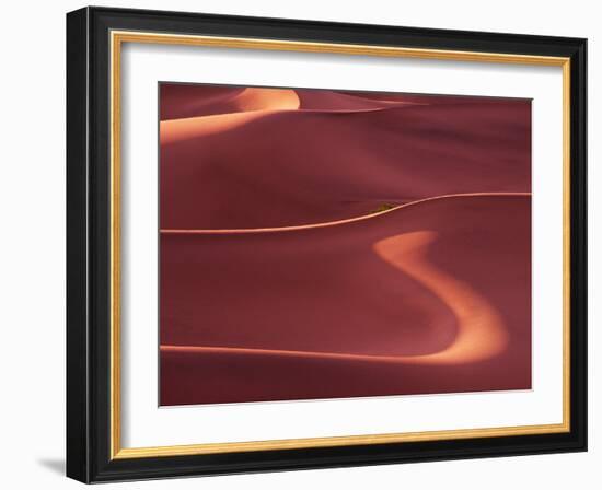 Death Valley Sand Dunes at Dawn, California, USA-Charles Sleicher-Framed Photographic Print