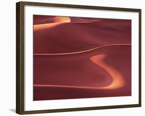 Death Valley Sand Dunes at Dawn, California, USA-Charles Sleicher-Framed Photographic Print