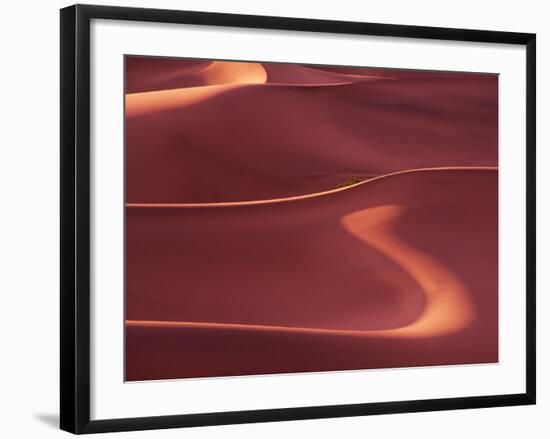 Death Valley Sand Dunes at Dawn, California, USA-Charles Sleicher-Framed Photographic Print