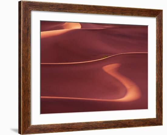 Death Valley Sand Dunes at Dawn, California, USA-Charles Sleicher-Framed Photographic Print