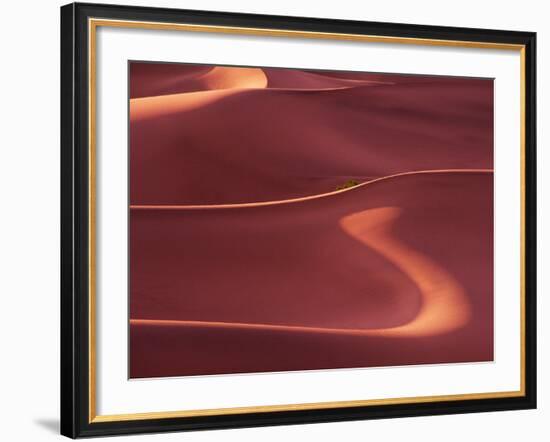 Death Valley Sand Dunes at Dawn, California, USA-Charles Sleicher-Framed Photographic Print