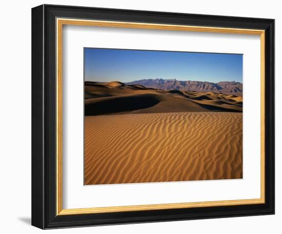 Death Valley Sand Dunes-James Randklev-Framed Photographic Print