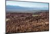 Death Valley (Valle De La Muerte), Atacama Desert, Chile-Matthew Williams-Ellis-Mounted Photographic Print