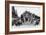 Deauville, Street Scene-null-Framed Photographic Print