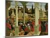 Debate of St. Stephen-Vittore Carpaccio-Mounted Giclee Print