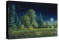 Stretched Canvas Print