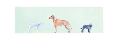 Man's Best Friend-Debbie Nicholas-Stretched Canvas