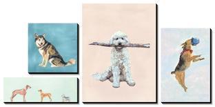 Man's Best Friend II-Debbie Nicholas-Photographic Print