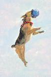 Man's Best Friend II-Debbie Nicholas-Photographic Print