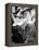 Debbie Reynolds, 1953-null-Framed Stretched Canvas
