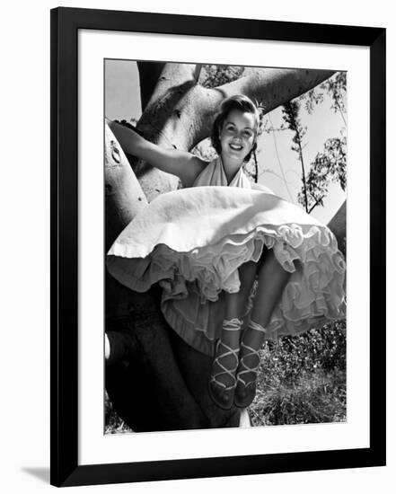 Photo, , large