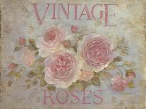 Vintage Rose-Debi Coules-Stretched Canvas