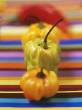 Four Peppers-Debi Treloar-Photographic Print